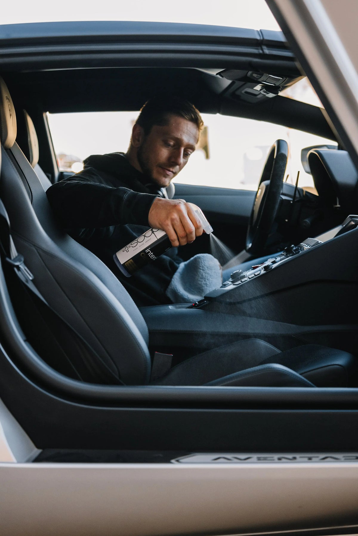 Interior Car Detailing Products Plus Soap